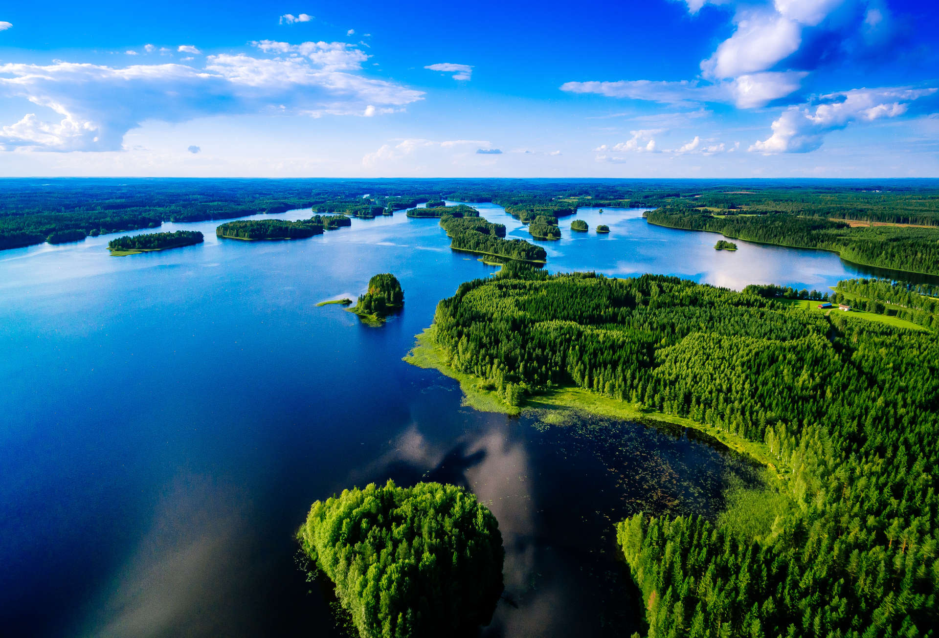 Scanforest forêt ciel lac