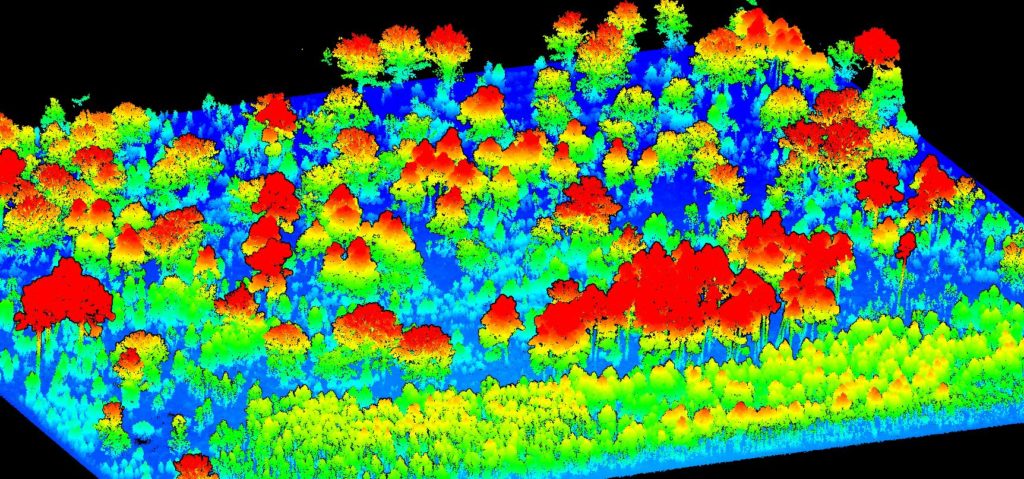 Scanforest - Inventaire forestier - 3D