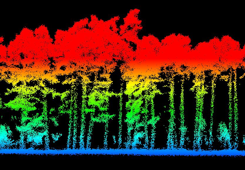 Scanforest - Inventaire forestier digital - profil